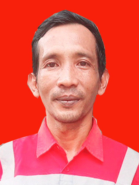 Surveyor AISI